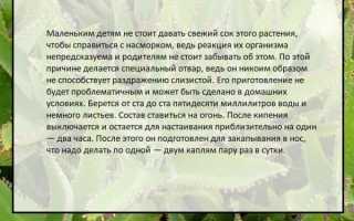 Как сделать капли в нос в домашних условиях?