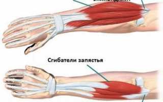 Боль в руке от локтя до кисти: почему болит и что делать?