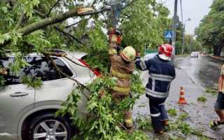 Первая помощь взрослому и ребенку, если ветка попала в глаз