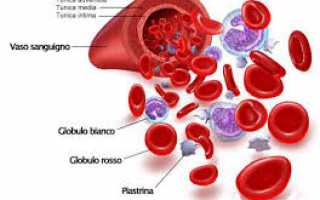 Как понизить тромбоциты в крови