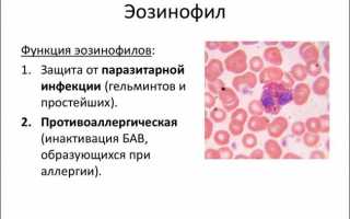 Причины понижения эозинофилов при беременности, методы диагностики, в чем заключается риск для плода?