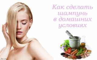 Как сделать шампунь своими руками в домашних условиях