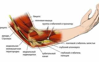 Виды болей в локте при сгибании и разгибании, возможные заболевания и их лечение