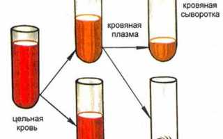 Что такое сыворотка крови и зачем она нужна