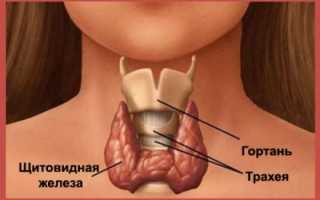 Боли в горле при щитовидке: на что указывают симптомы?