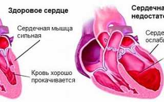 Норма пульса у женщин: таблица по возрастам