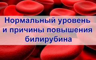 Повышенный билирубин общий,прямой или непрямой — причины у детей и взрослых, симптомы и методы лечения