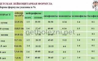 Сегментоядерные нейтрофилы понижены