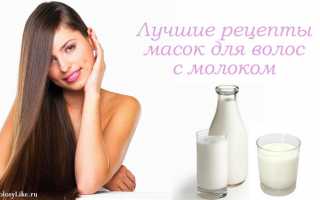 Польза и 6 рецептов масок с молоком для волос