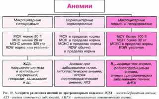 Внезапное учащенное сердцебиение и нехватка дыхания