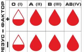 Какая группа крови подходит всем: совместимость при переливании, резус-фактор