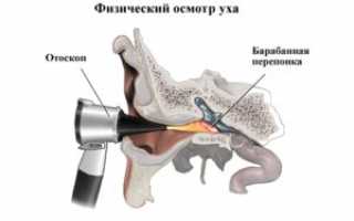 Зачем проходить ультразвуковое обследование уха