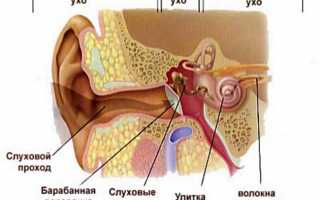Причины шума в ушах и снижения слуха