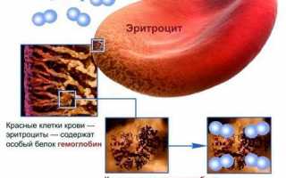 Почему повышены эритроциты в крови?