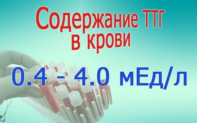 содержание ТТГ в крови