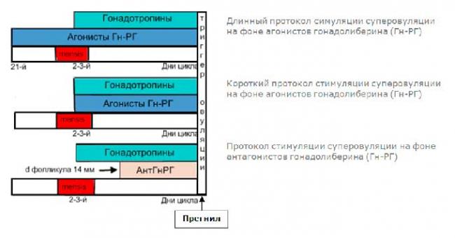 что такое короткий протокол эко