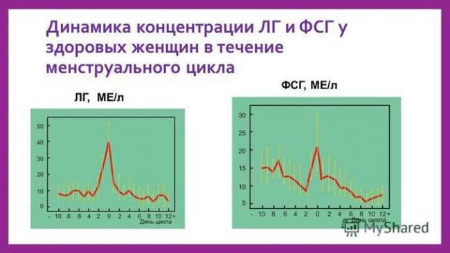 фолликулостимулирующий гормон повышен