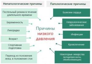 nizkoedav-3-300x211.jpg