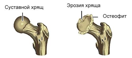 9-03.jpg