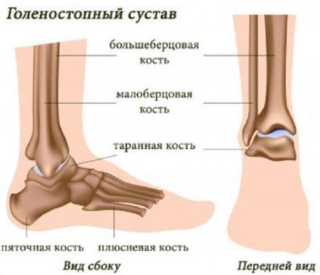 2-450x387.jpg