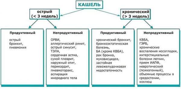 %D0%B2%D0%B8%D0%B4%D1%8B-%D0%BA%D0%B0%D1%88%D0%BB%D1%8F-2-600x295.jpg