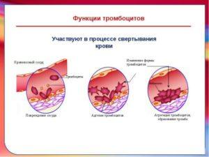 povysheniya-urovnya-trombokrita-300x225.jpg