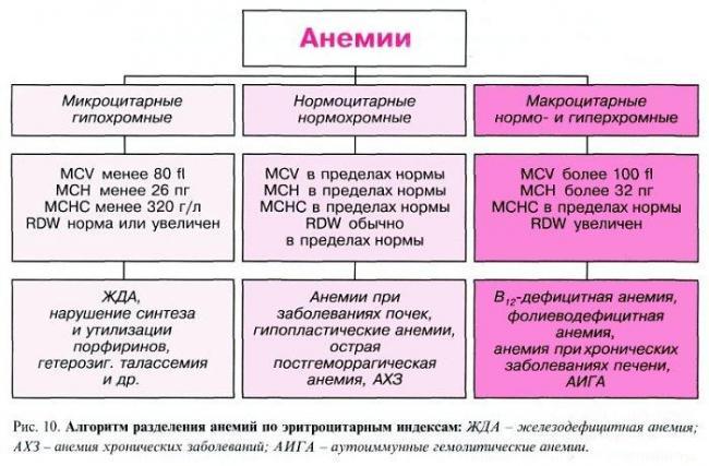 Классификация-анемий.jpg