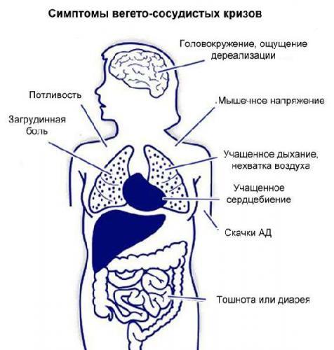 1520941494_5aa7b9b1dbde6.jpg