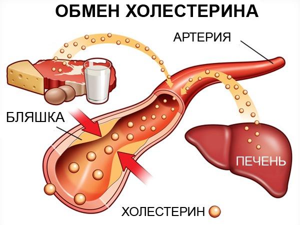 holesterin-norma-u-zhenshchin-po-vozrastu-65.jpg