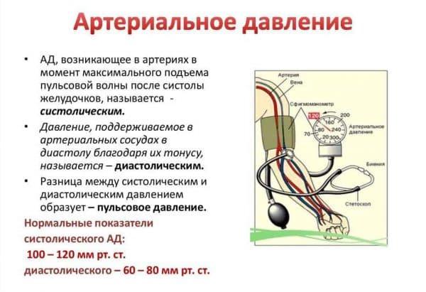 arterialnoe-davlenie-1-600x411.jpg