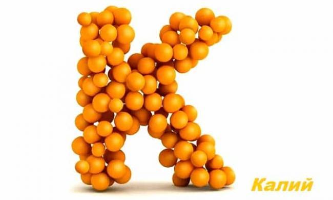 vitamin-k.jpg