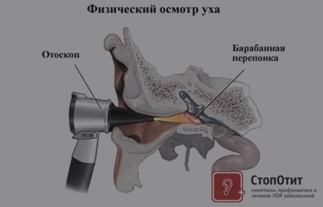 osmotr.jpg