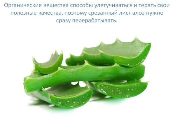 srezanniy-list-600x429.jpg