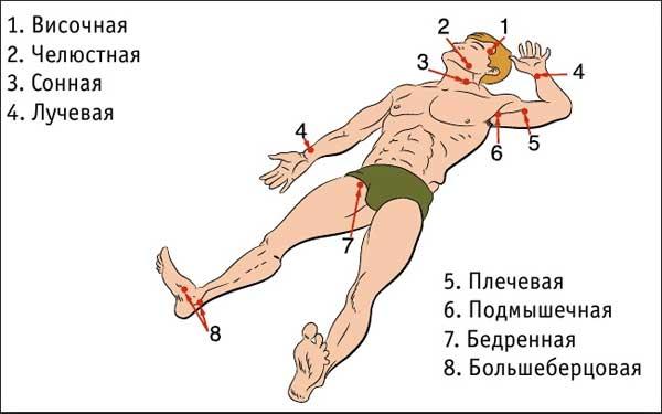 tochki-prizhatiya-arteriy.jpg
