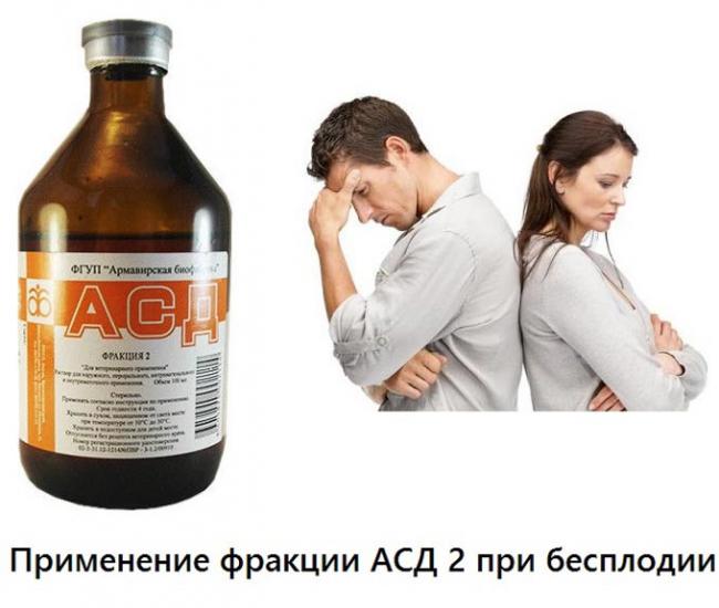 АСД 2 при бесплодии