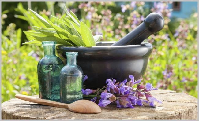 healing-herbs.jpg