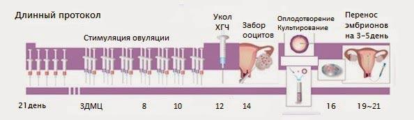 схема длинного протокола