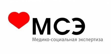 Foto-4.-MSE`-450x221.jpg 