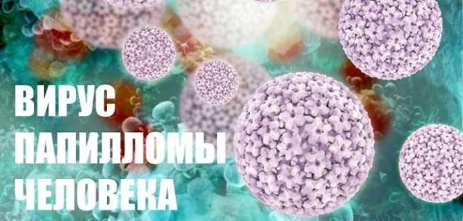 вирус папилломы при беременности