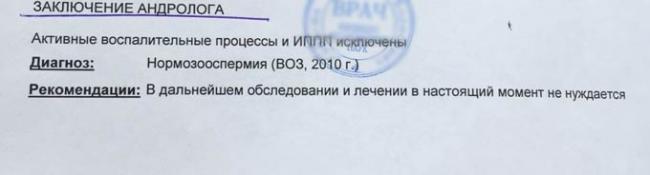 заключение андролога