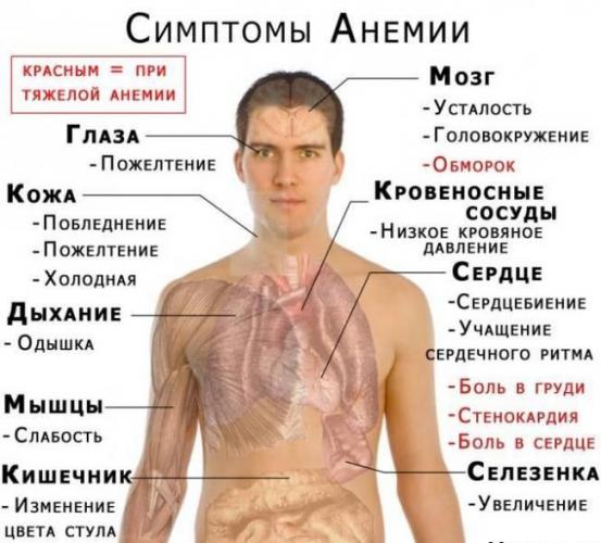 -анемии-1-e1455947056635.jpg
