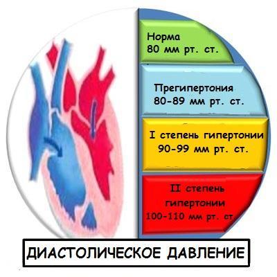 Норма-диастолического-давления.jpg