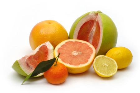 citrusi.jpg