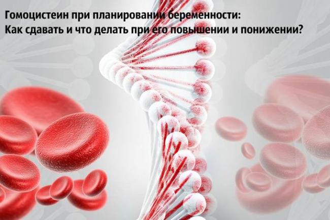 как понизить гомоцистеин при планировании беременности