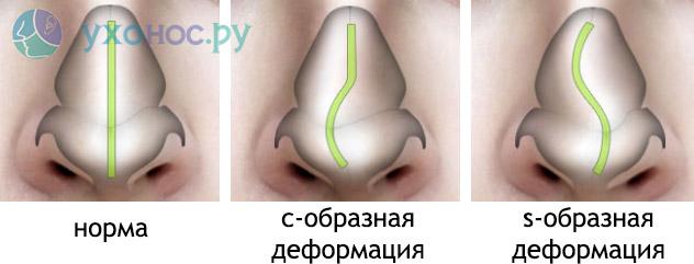 55442930293.jpg