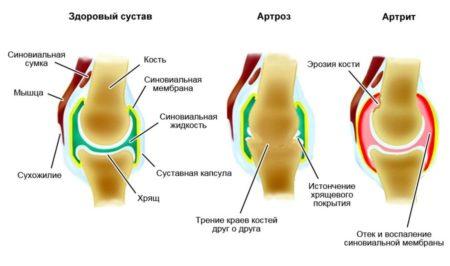 1-112-450x266.jpg