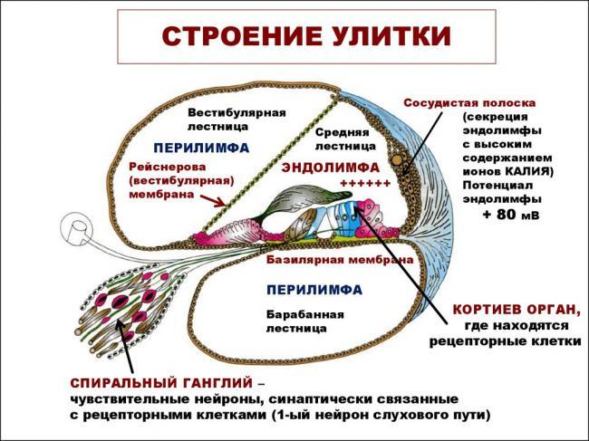 slide-5.jpg