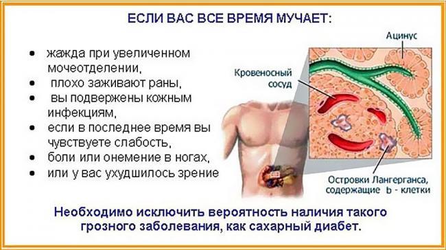 28941750-shema-lecheni-saharnogo-diabeta-preparatami-sibirskoe-zdorove.jpg