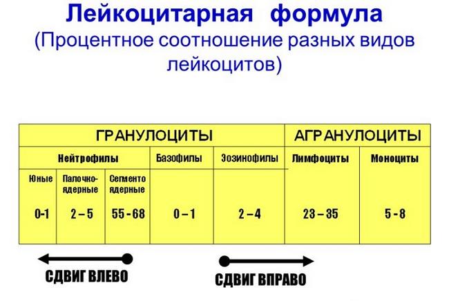leykotsitarnaya-formula.png