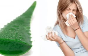 Sok-aloe-ot-nasmorka-300x191.png